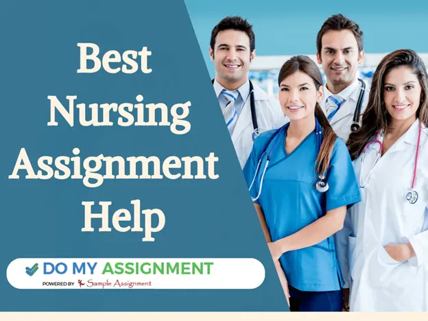 Nursing Assignment Help Online