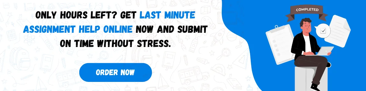 last minute assignment help online 